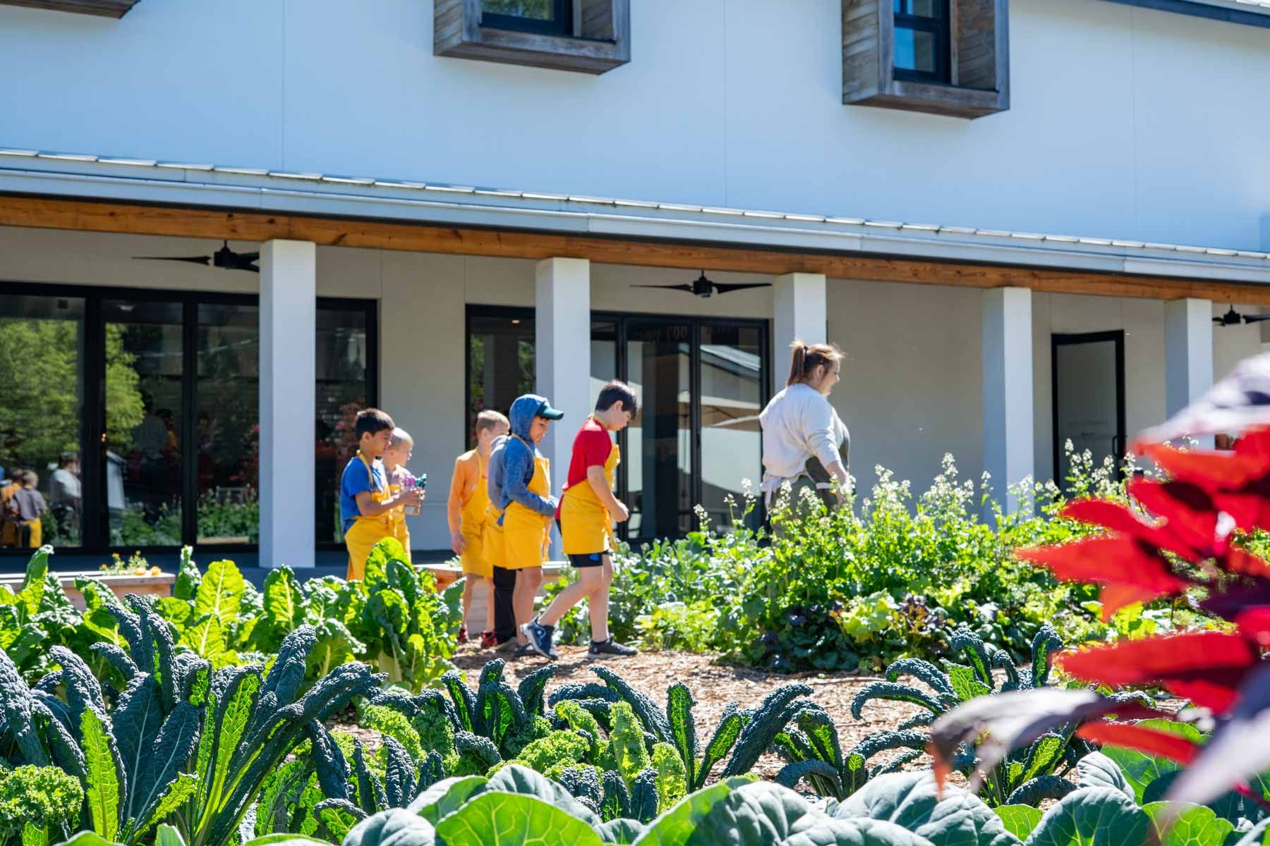 Homegrown Workshops: Home Gardening 101