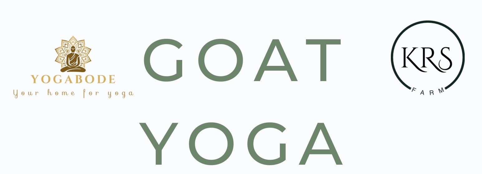 Goat Yoga
