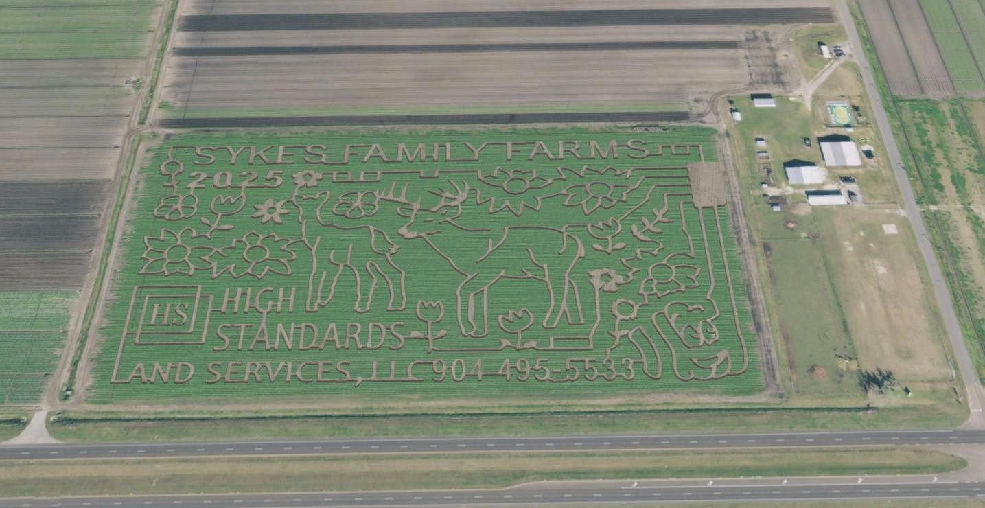 15th Annual Sykes Family Farms Crop Maze & Fall Festival