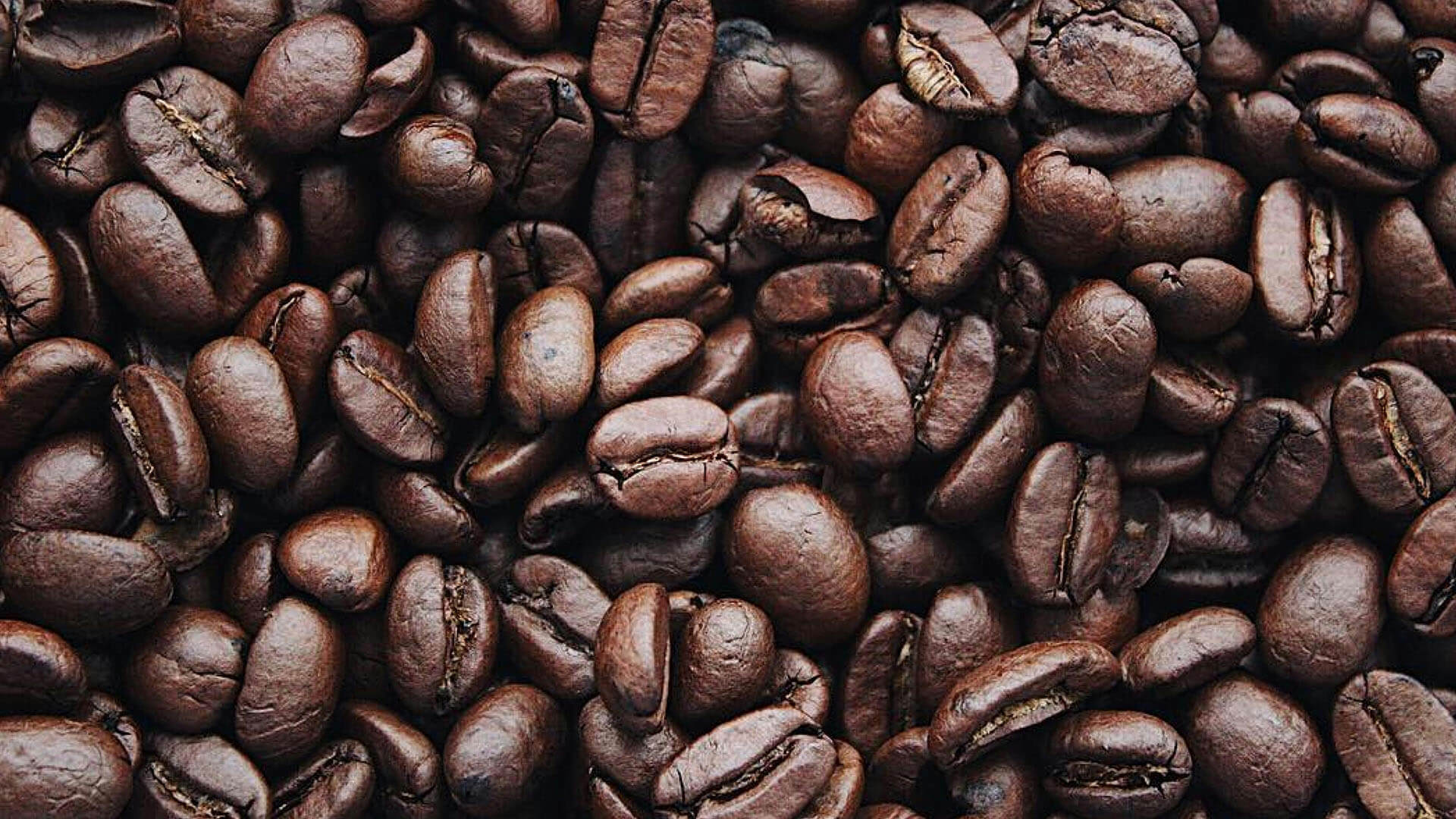 Coffee & Tea