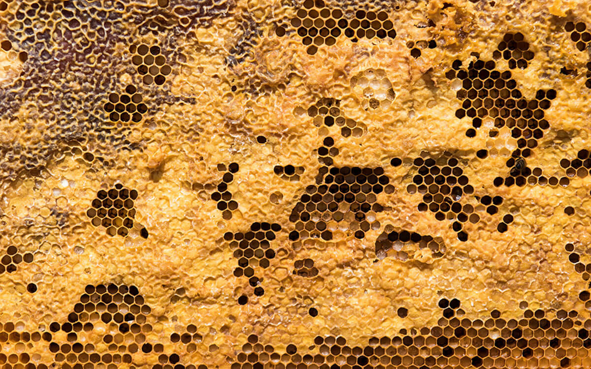 Beeswax Products