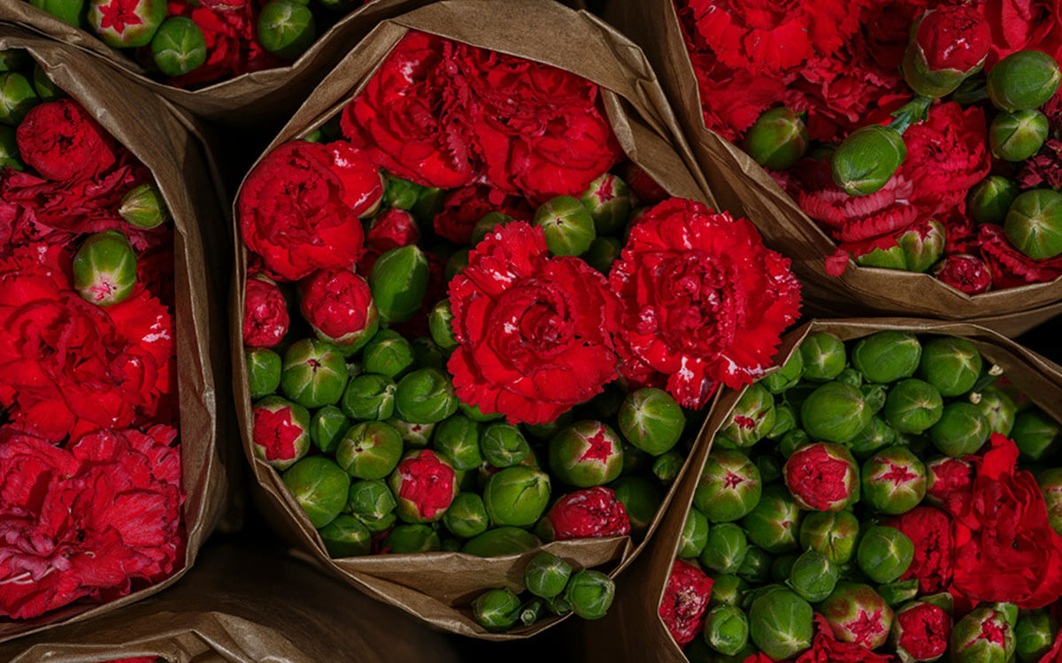 Flower Subscriptions