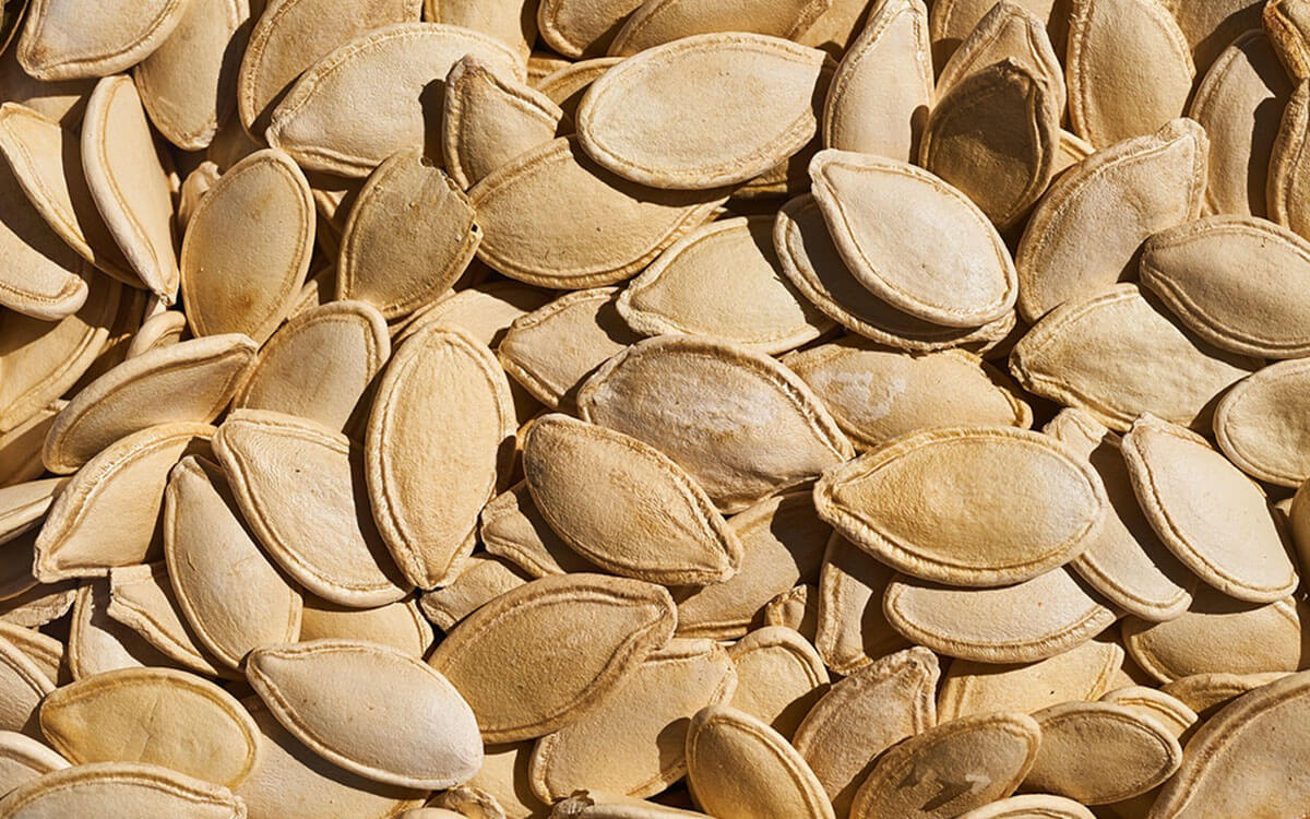 Seeds