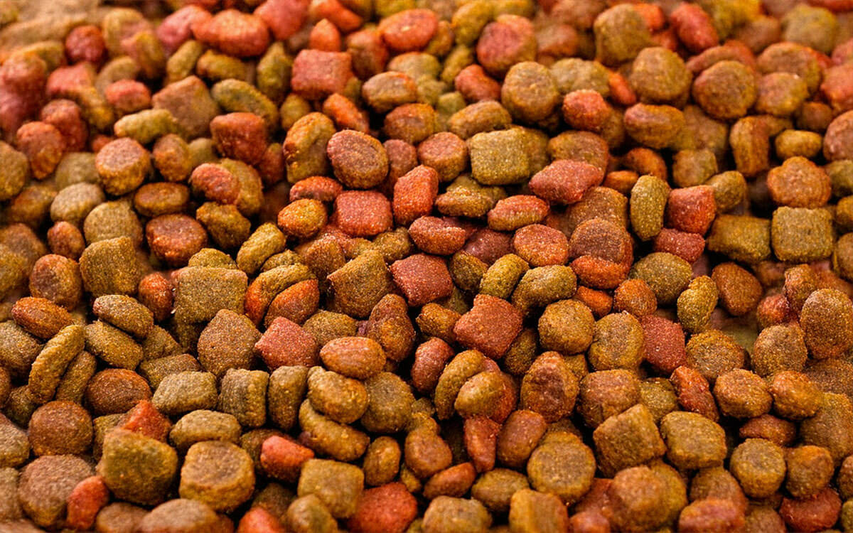 Pet Food