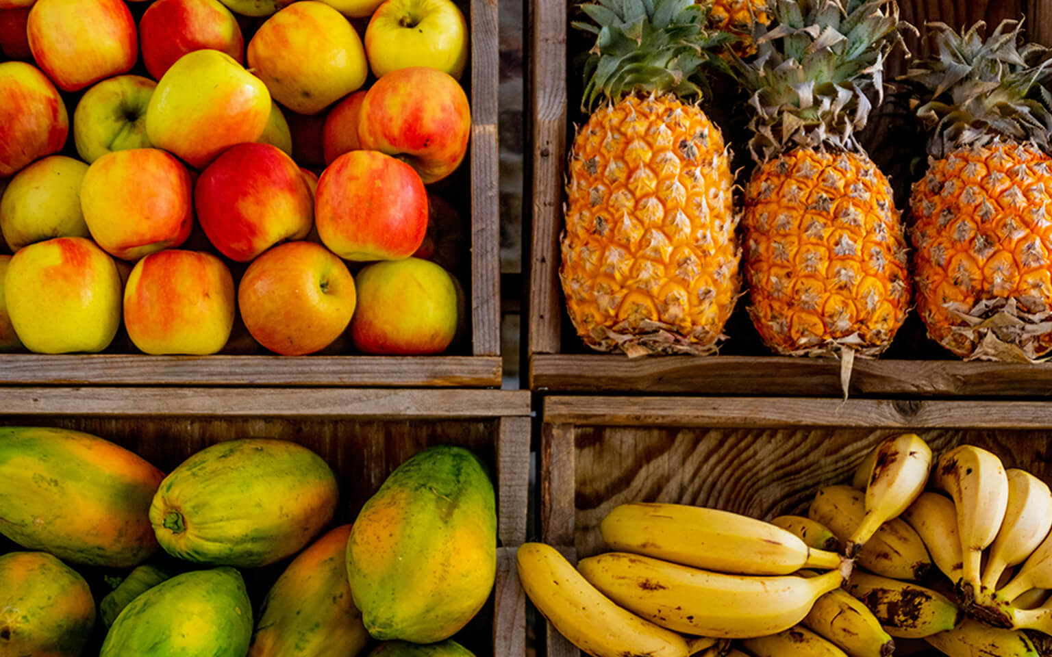 Fruits
