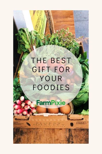 CSA share and meat subscription box holiday gift ideas for Florida, Georgia, and Alabama.