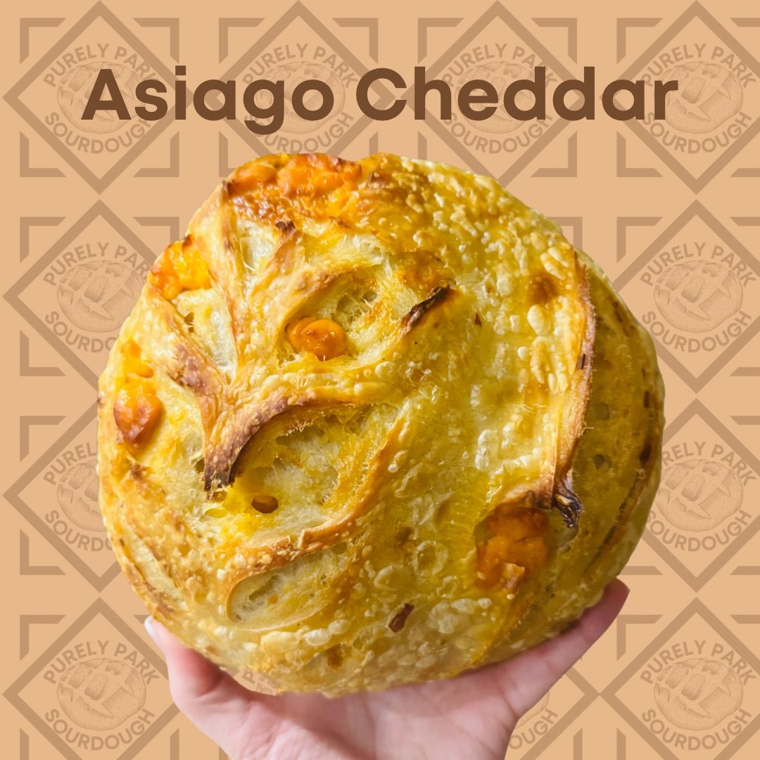 Asiago Sourdough Bread