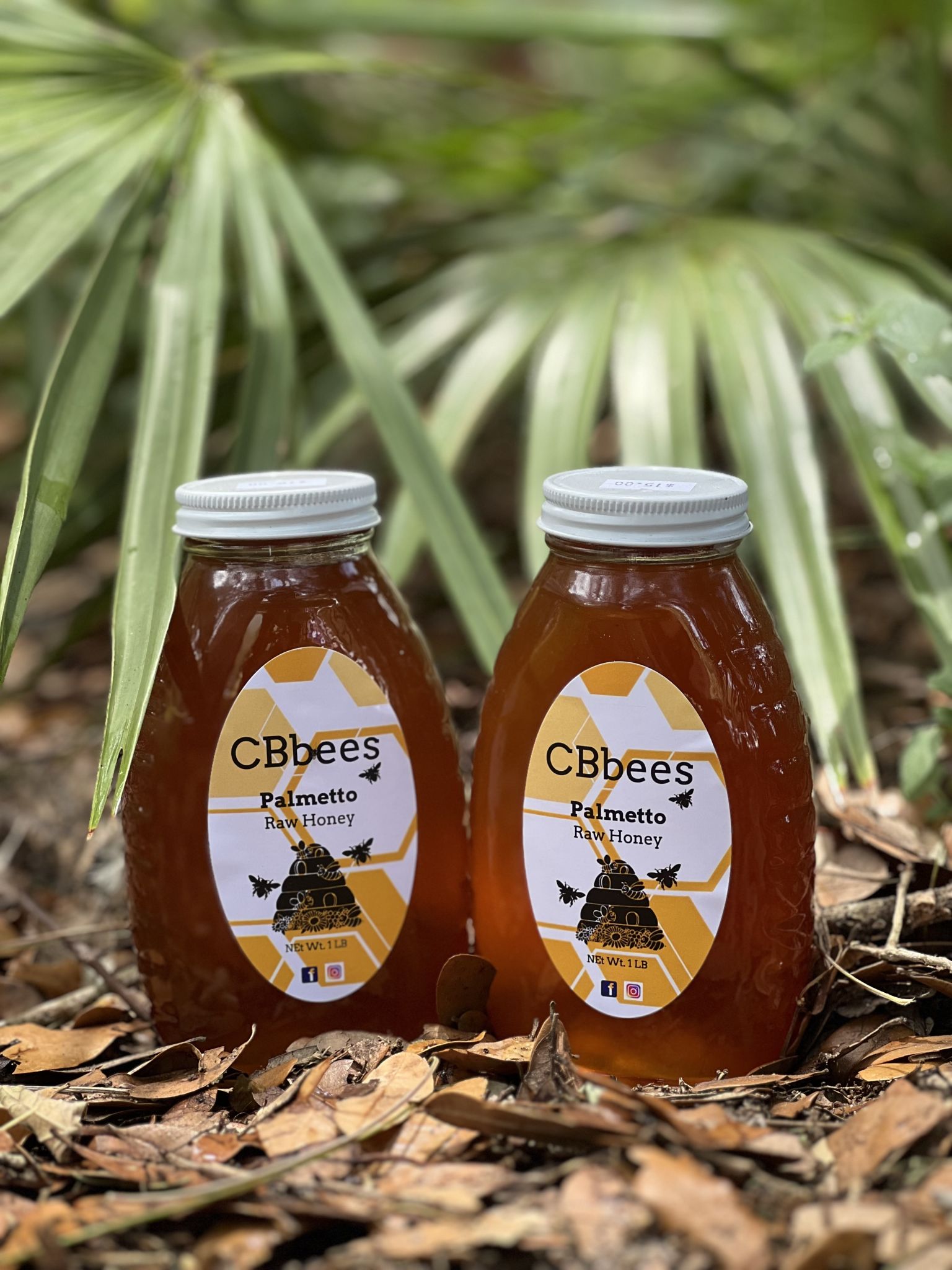 1lb Palmetto Honey