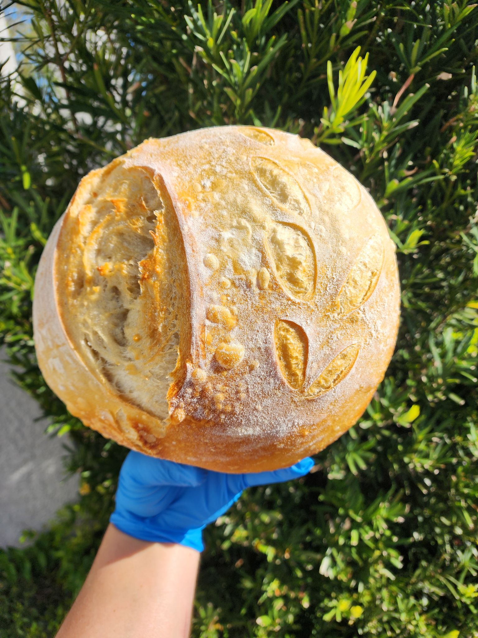 Breads sourdough