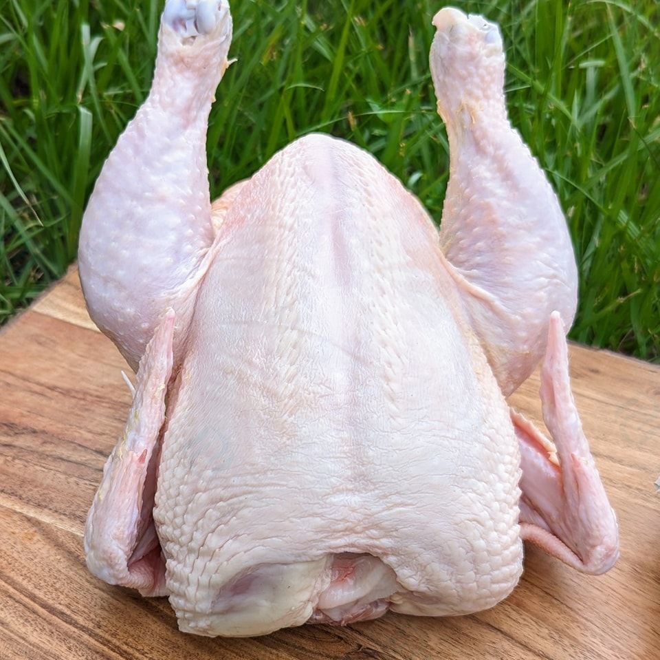 Fresh Pasture Raised Chicken